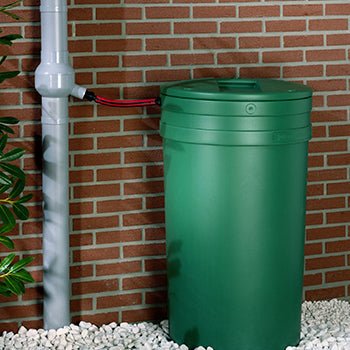 Marley Rainboy - Image 3