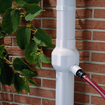 Marley Rainboy - Image 4